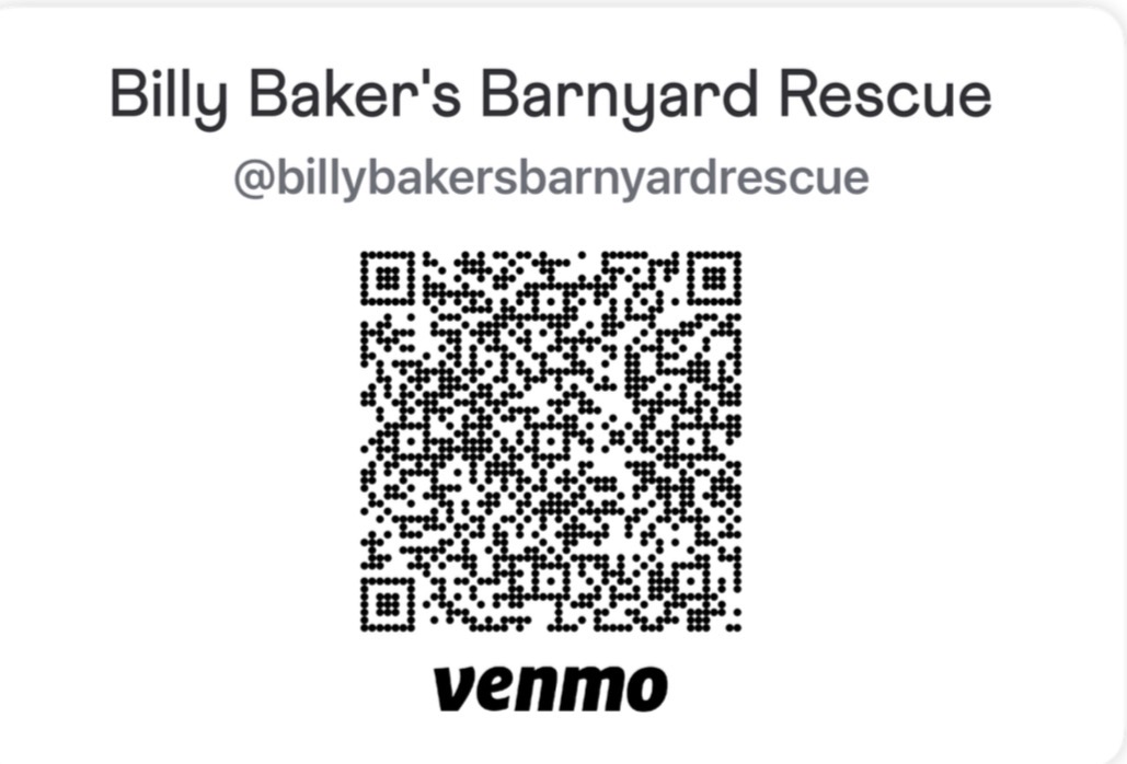 Venmo QR code for Billy Baker's Barnyard Rescue